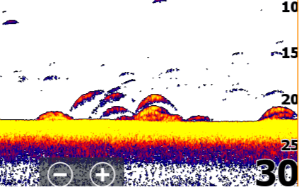 Fishfinder display showing underwater terrain and fish arches with depth measurements on the right side.