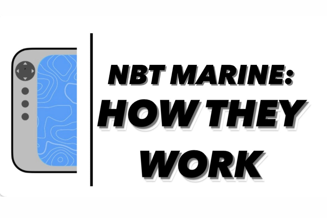 Understanding NBT Fishfinders: How They Work