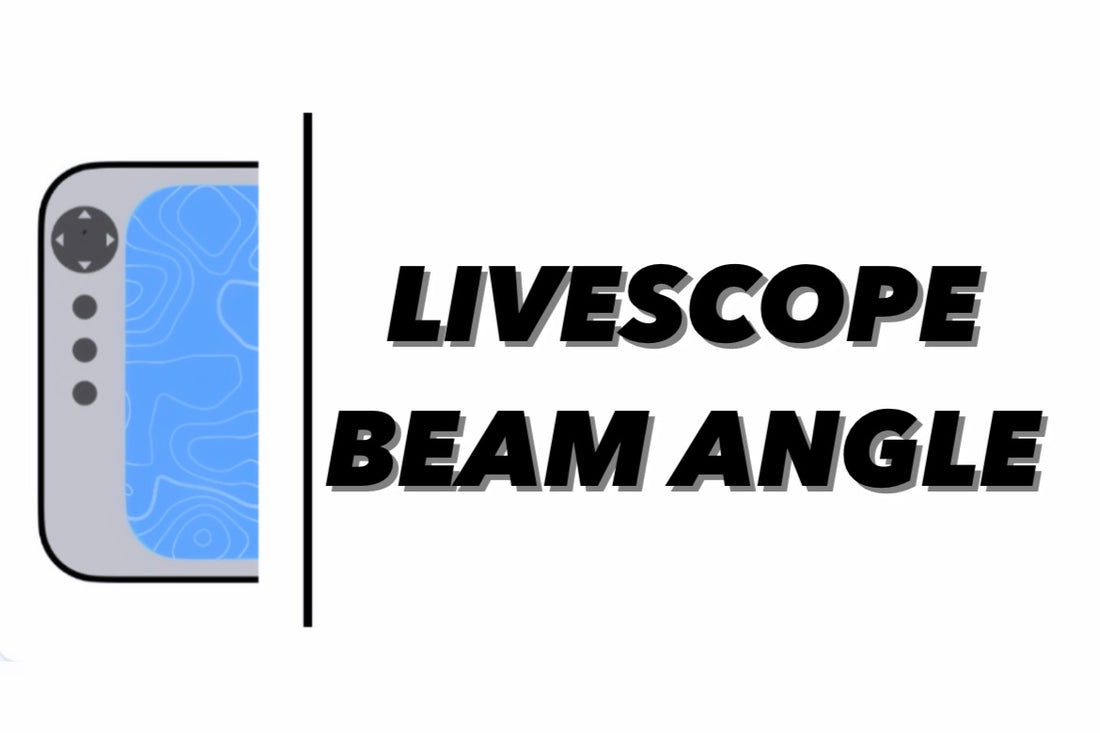 Garmin Livescope: Cone Angle