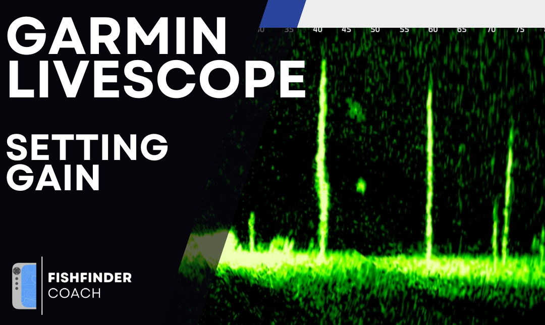 Garmin LiveScope display showing underwater details with gain settings for transducer sensitivity adjustment.