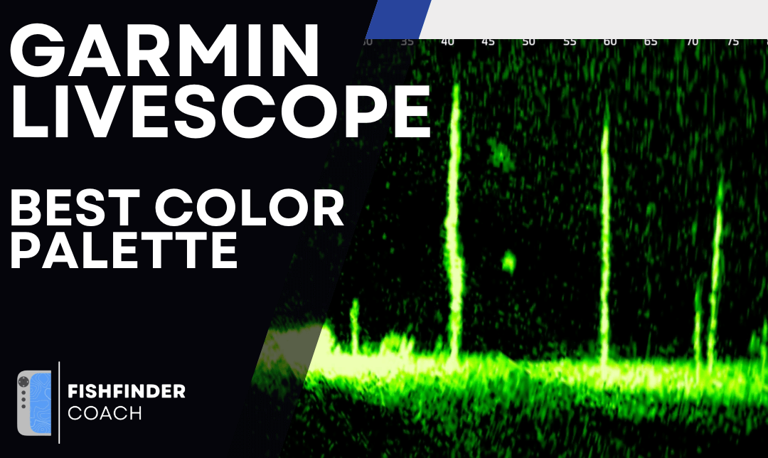 Best Color Palette for Garmin LiveScope: Choosing the Right Contrast for Maximum Visibility