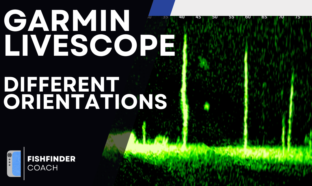 Which Livescope Mode Should You Use?