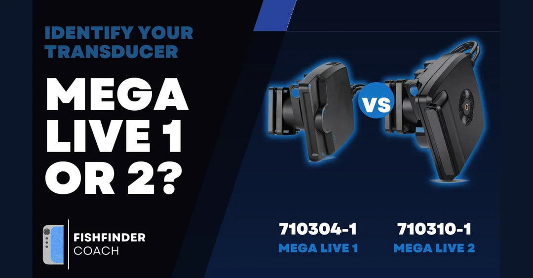 MEGA Live 1 vs MEGA Live 2: Which Transducer Do You Have?
