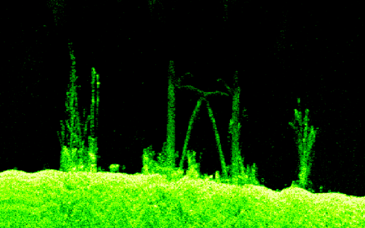 Ghostly green sonar image showing underwater structures against a dark background