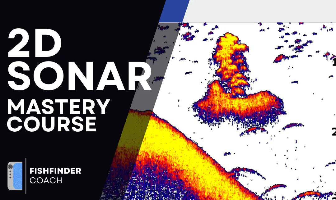 2D sonar screenshot showing fish outlined in blue and red on a white background with 2D SONAR MASTERY COURSE text