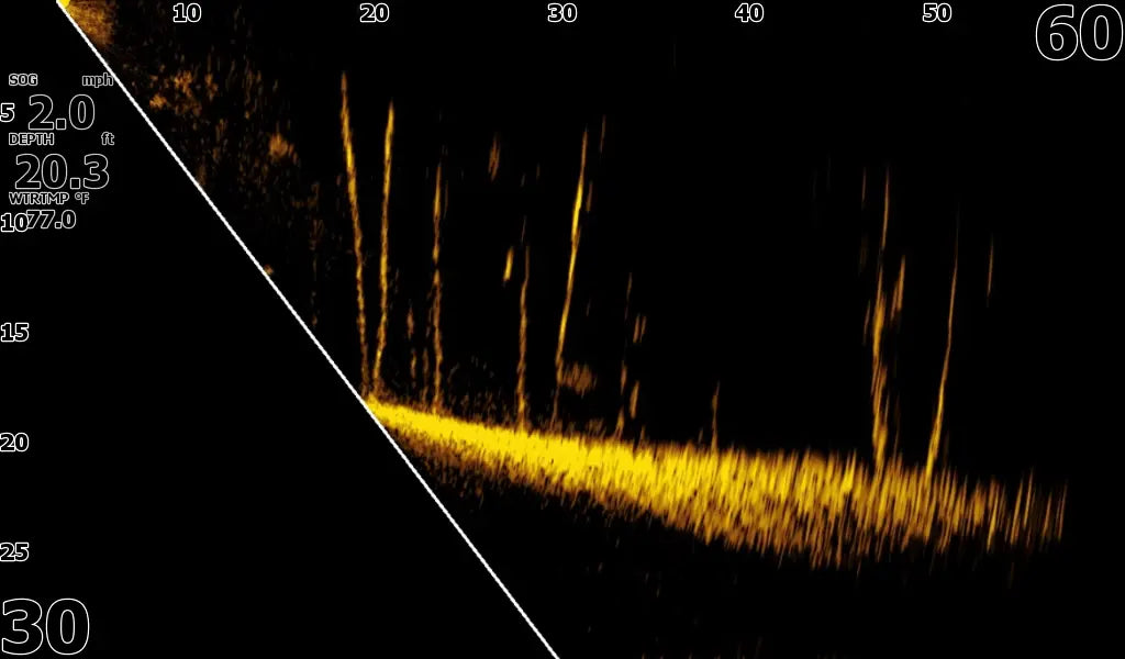 Sonar or radar display with yellow signal on a black background