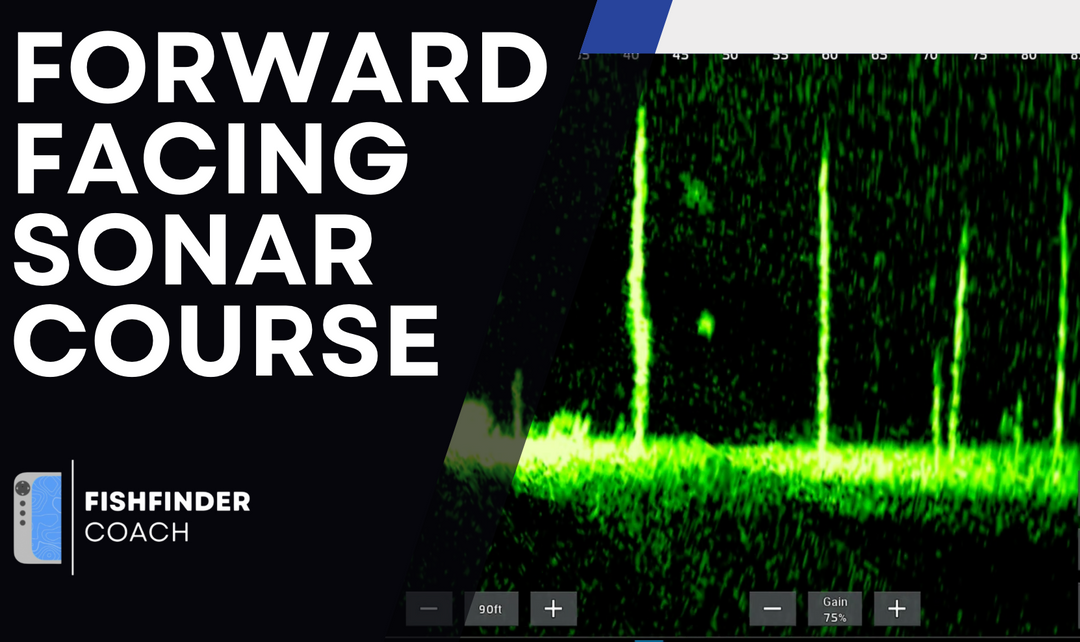 Product image for forward facing sonar course which shows a screenshot of a livescope in a green palette with a fish between standing timber.