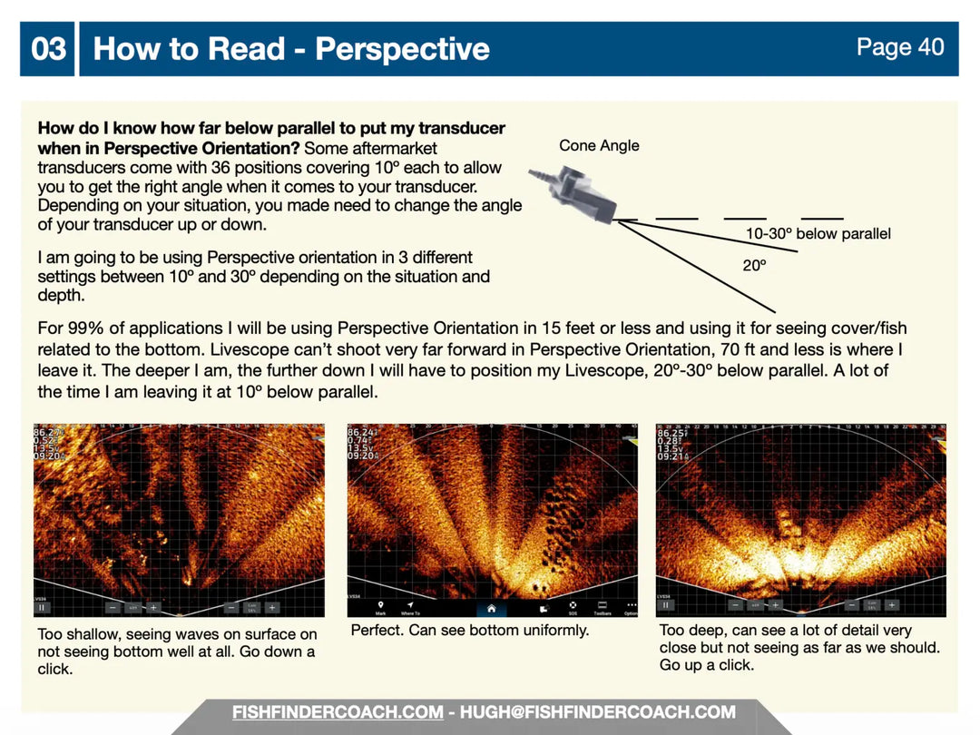 Technical document on how to read perspective for a transducer, with text and ultrasound images.