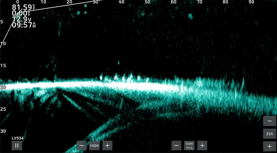 Livesope Screenshot of school of fish on the bottom with lure above them. ]