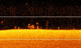 Sonar or radar image of a field with reflective objects