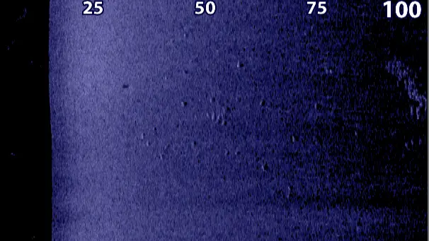 Side imaging screenshot showing fish in a school with a blue color palette. 