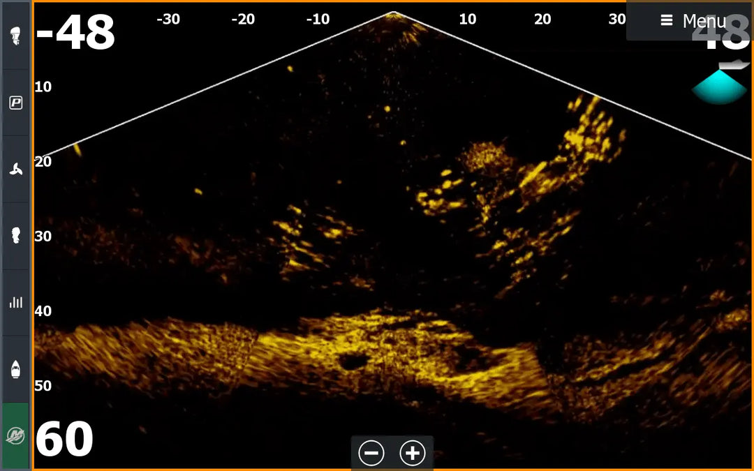 Screenshot of active target int he down mode showing fish above a rocky bottom. 