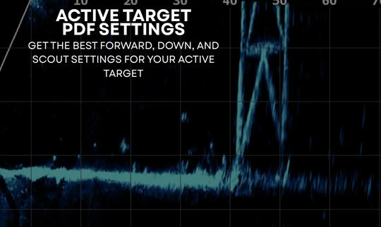 Lowrance Active Target Live Sonar PDF Settings Guide