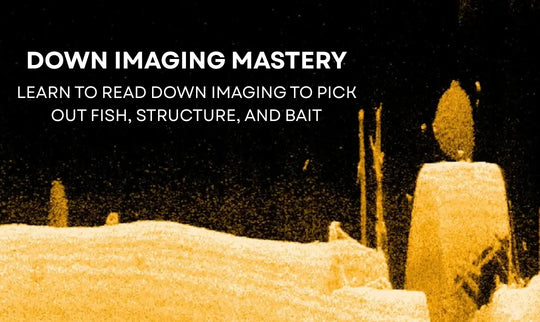 Down Imaging Mastery Video Course