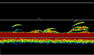 "Colorful macular OCT scan showing retinal layers for eye health analysis"