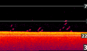 Sonar image depicting underwater terrain with detected objects, colorful bands indicating depth and contours.