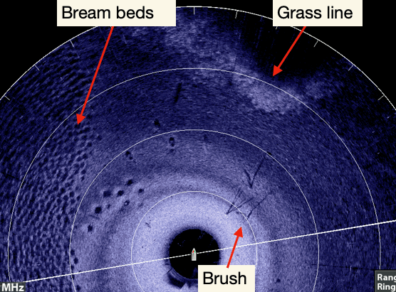 "Sonar image showing bream beds, grass line, and brush identified with labels and arrows."