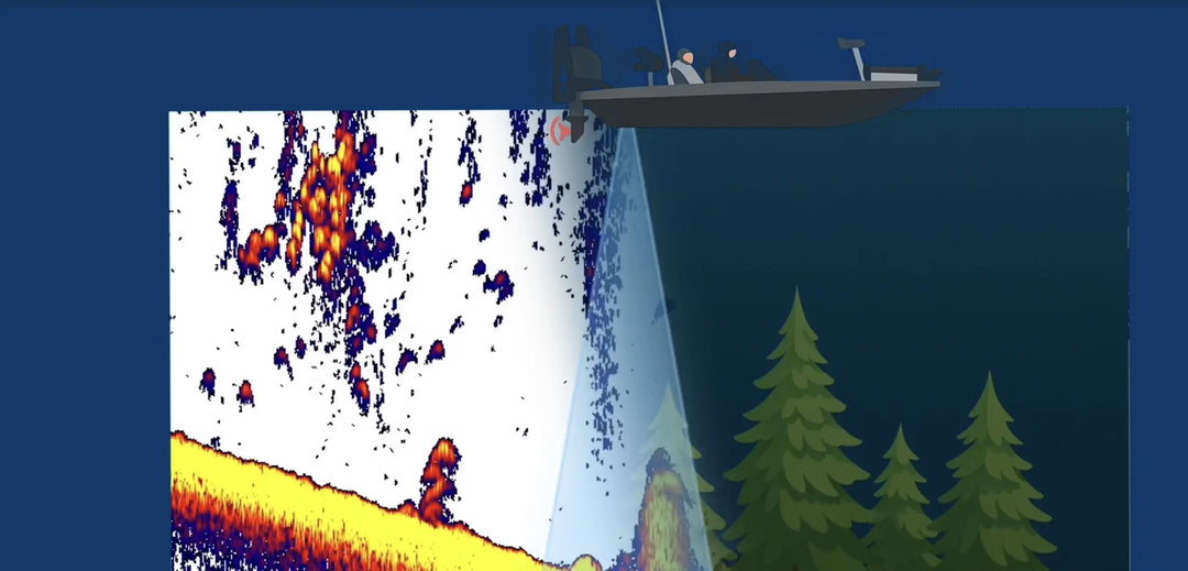 Sonar screen with underwater view and submarine, surrounded by trees