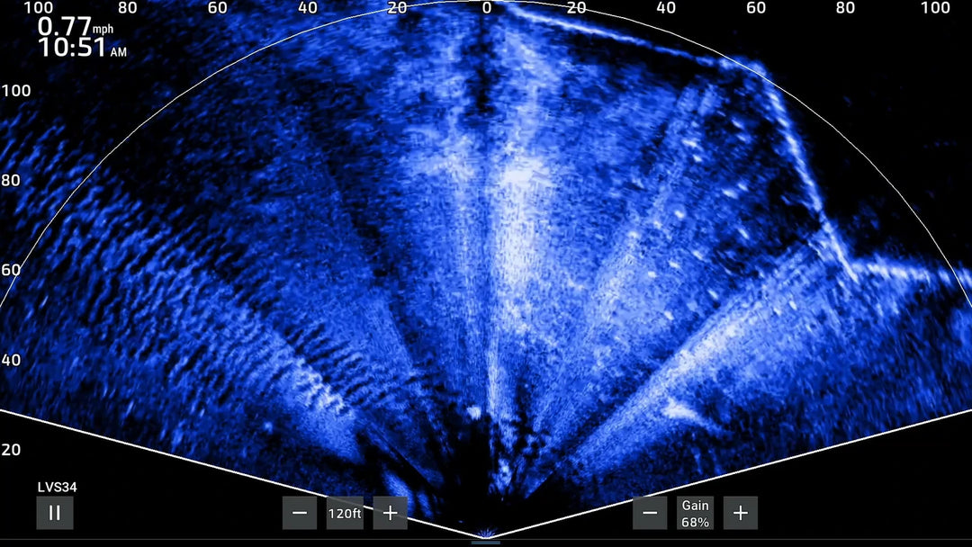 Screen-recorded forward-facing sonar lesson showing a full Perspective view